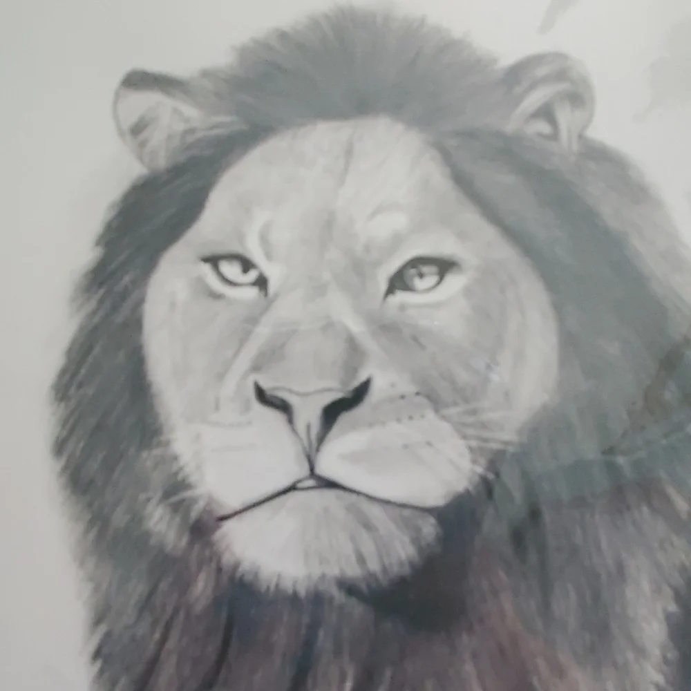 Shadow of‎ the Lion print